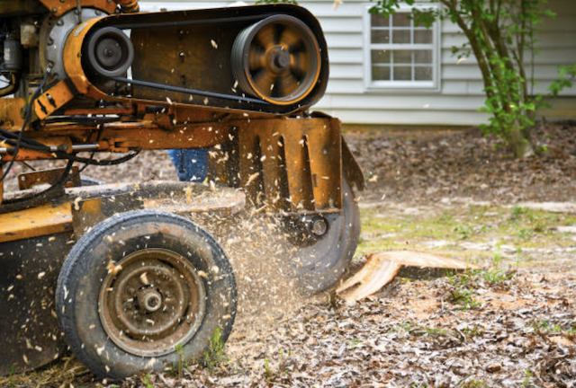 stump grinding orange ny